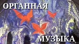 Концерт органной музыки, в кафедральном соборе святых Петра и Павла. Город Москва.