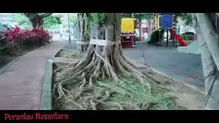 janda Taiwan super cantik