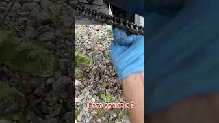 Ожидание /реальность #мото #мотодевушка #девушка #ямаха #мойки