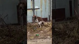 Джеки отмечает возвращение 😂💩