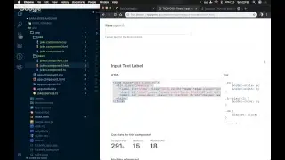 Sara tries to learn Angular