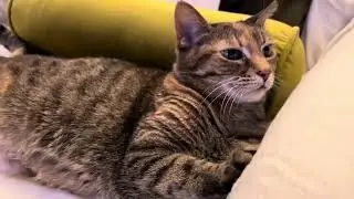 Draw me like one of your French girls!