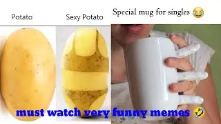 funny memes//memes//dank memes//hilarious memes//memes images//trending#memes