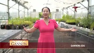 Liu Cao Faculty Bio