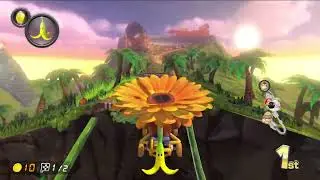 Mario Kart 8 Deluxe: Custom Track - GCN DK Mountain