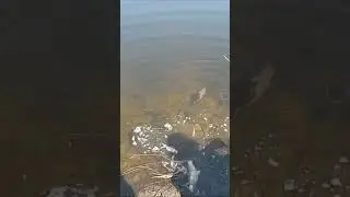 ПОЙМАЛ-ОТПУСТИЛ