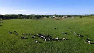 Holstein America: September 2024