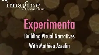 Experimenta: Building Visual Narratives