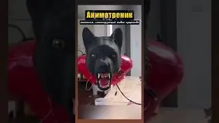 Кем оказался твой друг Вася, который фанател по ИИ 😁😁😁 