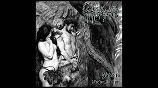Apokatastasis - Beyond Hatred