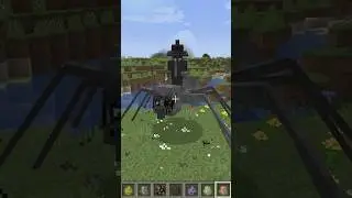 Illage and Portage MOD in Minecraft - The New Raid bosses