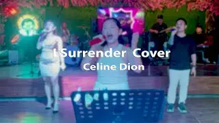 I Surrender Cover