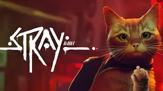 Что-то про сюжет: STRAY
