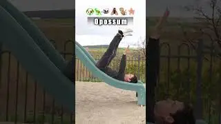 How different animals go down a slide. Part 2 (With Emojis)