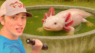 Saving Fish & Turtles From ABANDONED POND!