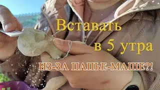 Проживаю УТРО так, чтобы ВЕСЬ ДЕНЬ быть радостной/нахожу время делать игрушки папье-маше