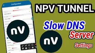 How to setup  NPV Tunnel vpn with slow dns server for secure browsing