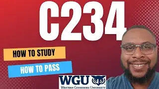 How to Pass Workforce Planning: Recruitment &Selection (C234) WGU | IT Management Degree