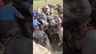 Бузкашии Точикистон лайка мезаним хамакаса