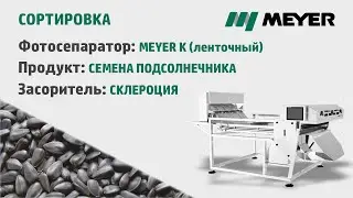 Сортировка подсолнечника: Удаление склероции из семян подсолнечника на фотосепараторе MEYER