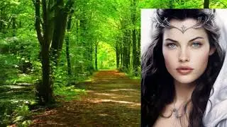 Anastasia Songbird of the Forest