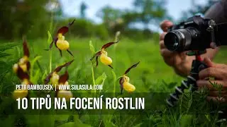 10 TIPŮ NA FOCENÍ ROSTLIN