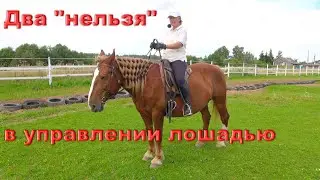 Два категорических 