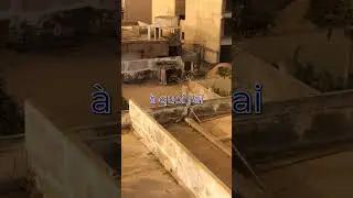 Les cages à oiseaux de Dakar aka ce monde cruel
