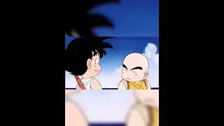 roast in anime #dbs #dbz #anime #goku #krillin