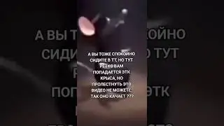 Извините.Ахахахаха #anime #spotify #лакиджет #speedsong #бравл #смешарики #бравлстарс #speedup #жиза