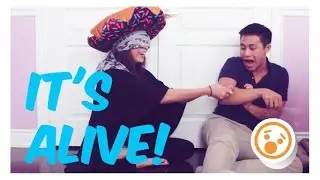 WHAT'S IN MY HANDS CHALLENGE