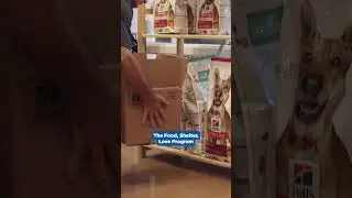 Feeding Hill's Helps Feed Shelter Pets