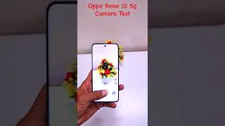 Oppo Reno 12 Camera Test ! #opporeno12 #oppo #shorts