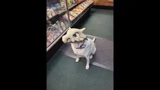 Gone Roguer #15: WE NEED A BIGGER STORE!