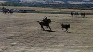 Acoso y derribo