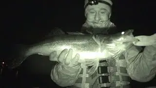 Вот это судак!!!