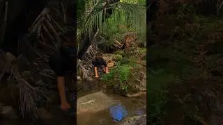 Fox splashin about! 🐾 #therian #quadrobics #fox #alterhuman #nature