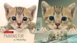 PhotoShop Tutorial: Painting Fur and Making Whiskers