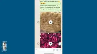 ИНГА ХОСРОЕВА ОТЗЫВЫ И БЛАГОДАРНОСТИ ЛЮДЕЙ О РИТУАЛАХ
