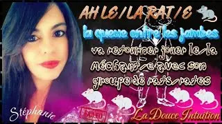🐀LE/LA VILAIN/E RAT/E🐀VA RETOURNER DANS LES ÉGOUTS🕳️AVEC SON GROUPE DE RATS/RATES🐁🐁🐁C'EST L'ÉCHEC♟️