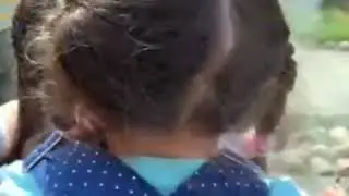 Панда