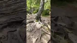 5 сентября 2024 г.