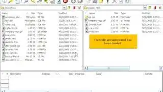 FTP - CuteFTP - Manage