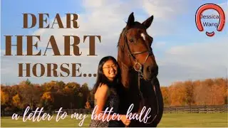 Dear Heart Horse... a letter to my best friend