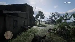 Puppy Love in RDR2