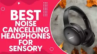 Best Noise Cancelling Headphones For Sensory Overload in 2024: A Comprehensive Review and Comparison