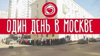 Один день Добродомика в Москве