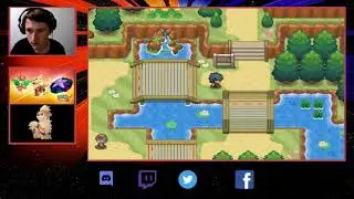 Phoenix Rising Part 1 - GETTING A STARTER!
