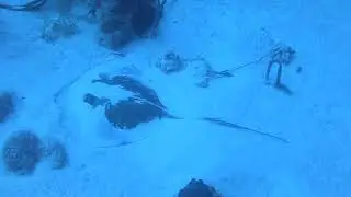 Cas Abao Curaçao