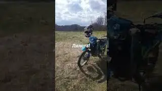 Эндурим в лесу и наслаждаемся видом